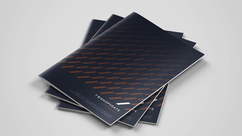 Cube Web Bishop2 min